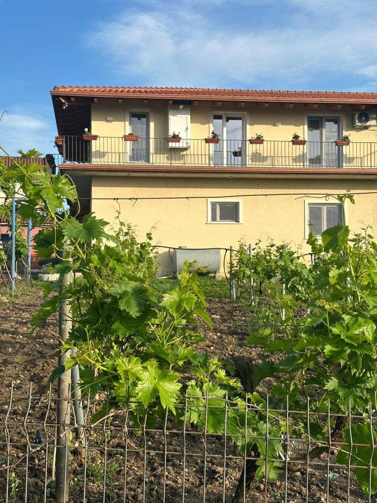 Guesthouse Marku - Mrizi I Zanave Fishte Экстерьер фото